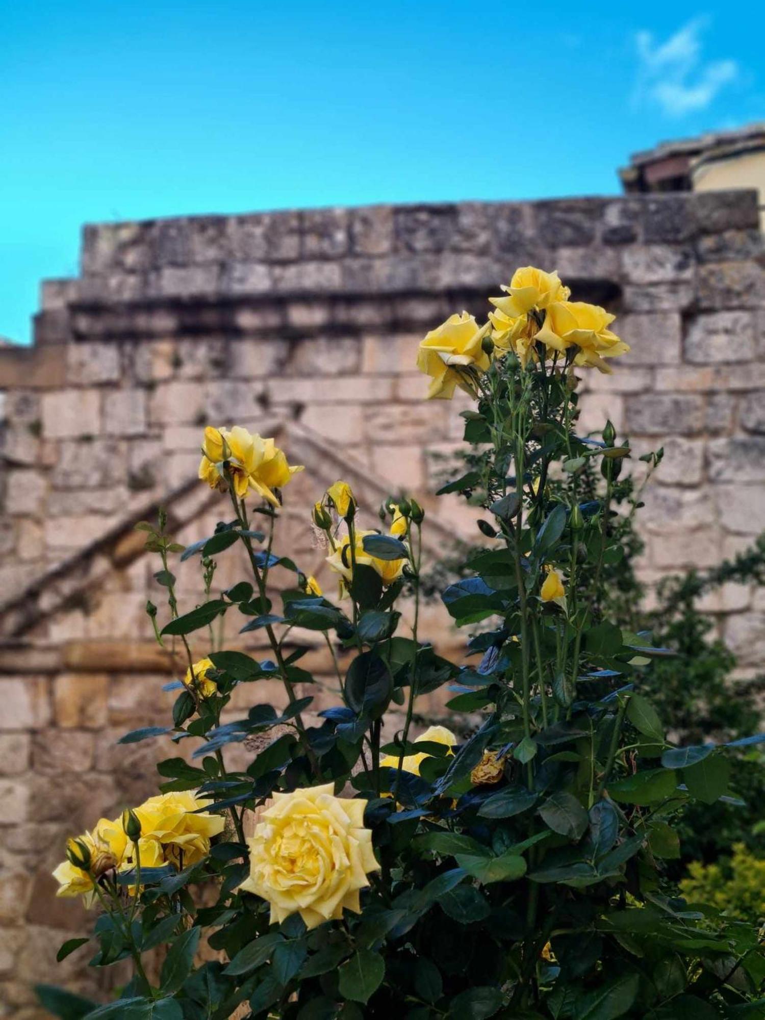 Ábside de San Juan I Estella Exterior foto